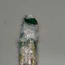 WRITECH Retractable Gel Ink Pens: Multi Colored 2 in 1 Colorful Click Pen Assorted Color 8ct Extra Fine Point Tip 0.5mm Journaling Smooth Writing Note Taking Coloring No Bleed & Smear Smudge