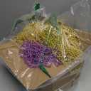 Camlinbo 200PCS Mardi Gras Beads, 33" Bead Necklace, Green Purple Gold Metallic Mardi Gras Beads Accessories Bulk for Carnival Parade Throws Party Decorations Supplies Favors