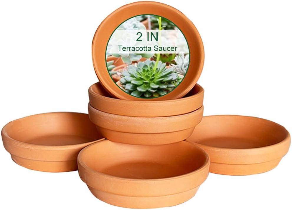 1.9 Inch Terracotta Plant Saucer - 6 Pcs Mini Terra Cotta Saucer for Indoor & Outdoor Plants, Plant Drip Trays Perfect for 1 Inch 1.5 Inch Flower Pots