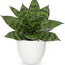 Hollyone Artificial Snake Plants 9" Faux Agave Succulent Plant Potted in White Pot Fake Sansevieria Aloe Tropical Plant for Desk Modern Office Home Bathroom Indoor Outdoor Decor