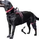 Dog Knee Brace with Harness Premium Support for Torn ACL, Hind Leg Injuries, Luxating Patella, Arthritis & Cruciate Ligament Care, Dog Leg Brace Back Leg - Left Med, Size M