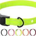 Dog Nylon Collar Strap with 2 Holes for Electronic Fence Training Barking Collar Receivers-3/4 Inch Replacement Strap-Compatible with Nearly All Brands and Models of Electric Collars (Fluorescent Green)