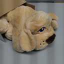 HuggiePup by Pets | Comfort Companion with Heartbeat Sleep Aide for Dogs & Puppies, Heating for Calming Relief Day or Night, Crate & Behavioral Training Essential Breeds | Golden