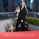 Evanger's Heritage Classic Lamb & Rice Dinner Dog Food  12 Count, 12.5 oz Each  Gluten & Grain Free, Complete Balanced Diet for All Life Stages  Wet Dog Food