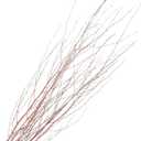 Branches for Vase, 3'4' Natural Birch Tree Branches for Decoration, Bundle of 10 Tall Decorative Sticks for Vases, Rustic Wood Branches for Crafts, Weddings, Seasonal Home Dcor - Natural