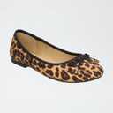 SM New York Leopard, Size 11