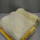 Arotive Microfiber Bathroom Rugs, Shaggy Soft and Absorbent Bath Rug, Non-Slip, Thick Plush Machine Washable Dry Bath Mats for Bathroom, Tub and Shower, 59x24, Yellow, Rectangular