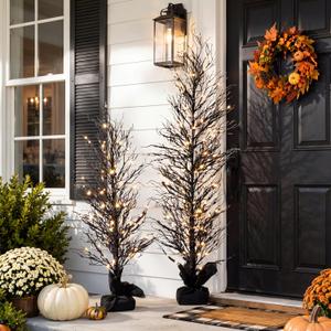 2 Holiday Light Up Tree Set, Halloween Black, 2' 5'