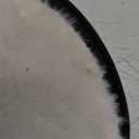 Sytopia Small Dog Carrier Purse, Portable Pet Carrier Tote Carrier with Pockets, Adjustable Safety Leash, Waterproof Dog Travel Bag, Travel Pets Purse up to 4 Lbs, Cream Beige (17.7"L x 8.7"W x 9.4"H)