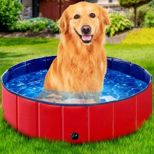 StarOcean Foldable Dog Pool, Kiddie Pool Hard Plastic Pool for Kids, Pools for Large Dogs, Swimming Pool for Dogs,Collapsible Pool Dog Bathing Tub, pop up Dog Pool for Kids,Cat (32" x 8" Inch,red)
