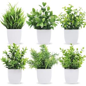 Der Rose 6 Pack Small Fake Plants Artificial Plants in Pots for Home Bthroom Bedroom Living Room Decor IndoorGreen (White)