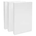 Rectangular Foam Blocks - Easy-to-Carve Sculpting Foam - Diorama Base Rectangles for Model Displays - Versatile Craft Pack for DIY Craft - Pack of 3, 17 x 11 x 2 in, White