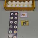 Dan&Darci Dig a Dozen Dino Egg Kit for Kids - Easter Basket Stuffers - Dinosaur Toys Gift 3-12 Year Old - 12 Eggs & Surprise Dinosaurs - Science STEM Activities - Boy Toy Party Gifts for Boys & Girls