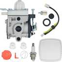PB2520 Leaf Blower Carburetor Replacement for Echo PB 2520, A021004700 Carb Tune Up Kit with Spark Plug and Filter