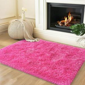 Small Rugs for Bedroom, Fuzzy Throw Rug for Living Room Dorm, Soft Fluffy Bedroom Rug, Non Slip Shag Rugs, Modern Indoor Home Decor Aesthetic, 2x3 Feet, Hot Pink