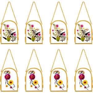 Qunclay 8 Pcs Glass Frame for Pressed Flowers 3.5 x 2.5 Inch Brass Hanging Photo Frame with Chain Arched Double Floating Picture Frames for Artwork Display DIY Dried Plant Specimen(Gold)