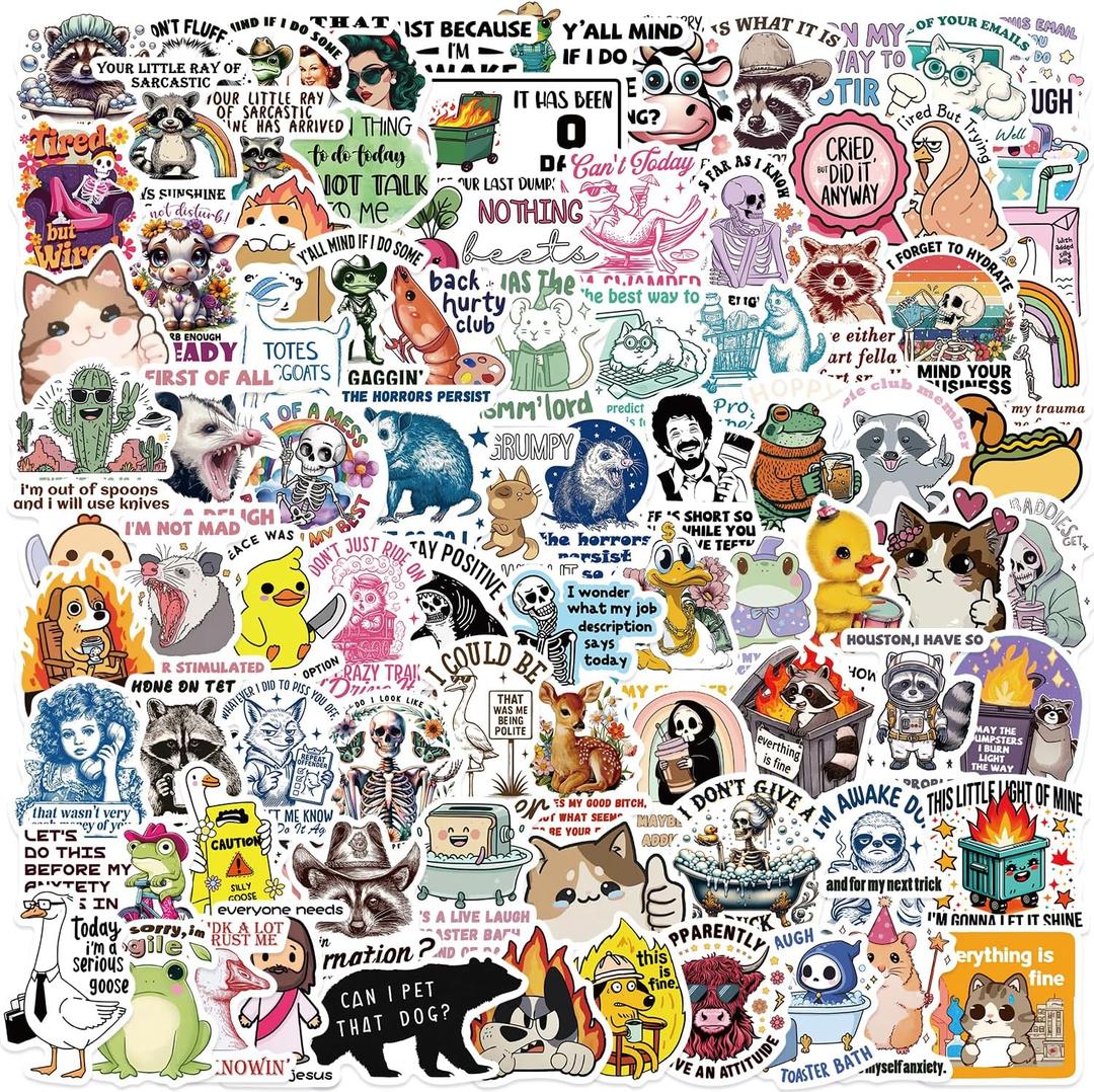 100PCS Funny Holographic Stickers Sarcastic Meme Stickers Waterproof Vinyl Decals for Laptop Water Bottle Skateboard Luggage Car Bumper for Kids Teens Girls Adults