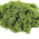 Light Green Moss for Crafts Artificial Moss Decorative for Glass Vase Filler Wedding/Christmas/Fairy Party/Indoor Planters/DIY Rainforest Model/Table Centerpieces (2.1 OZ)