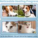 Dog Eye Gel, Dog Eye Drops Wash for Dogs and Cats,Vet-Recommended to Soothe Pet Eye Irritations,Eye Infections & Allergies. Relieve Dry Eyes and Pink Eyes, Pet Tear Stain Remover. 2 Ounces