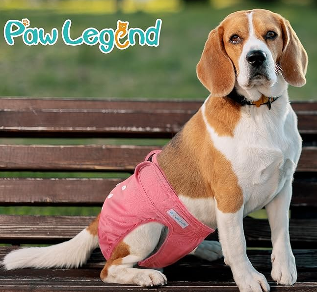 Paw Legend Washable Reusable Female Dog Period Diapers for Heat Doggie Puppy Diapers for Female Dogs (2 Pack,X-Small) (X-Small (8"-11.5" Waist), Cheerful (Black Lining))