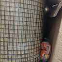 VEVOR Hardware Cloth, 24'' x 100' 1/2 inch Galvanized Wire Mesh Roll, 19 Gauge Chicken Wire Fencing Roll, Vinyl Metal Wire Mesh for Chicken Coop Barrier, Rabbit Snake Fences, Poultry Enclosures