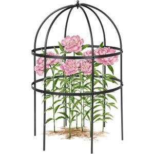 1 Pcs Jardin Bird Cage Plant Support 24" H Large Sturdy Grow-Through Flower Support Peony Cage Climbing Plant Support Trellis Sculptural Garden Decor for Perennial Flowers (Black)