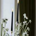 10 Inch Black Spiral Taper Candle Set, 10 Pack Unscented Candlesticks for Black Christmas Decor Fall Autumn Prayer Halloween Rituals Meditation Fall Seasonal Decoration