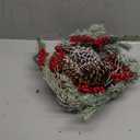 Christmas Wreath 16" Door Wreath with Frost Winter Wreath for Outdoor Indoor, Big Pine Cone Red Berries Christmas Wreaths for Front Door Window Wreaths Home Decor