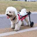 Updated Dog Wheelchair for Back Legs, Small Dog Wheelchair with Wheels, Light Weight Pet Wheelchair for Leg Support Helps Senior,Injured,Paralyzed, M & Pink