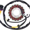 Road Passion 2.1.01.2060 2.1.01.2010 Stator Coil Compatible with Buyang 300 Feishen 300cc Big power, Buyang 300cc ATVs FA-H300, FA-D300-300cc ATV 300B (2x4, 4x4 and 4x4 IRS)