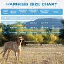 Dog Harness for Large Dogs Heavy Duty, No Pull Tactical Dog Harness with Molle System, Easy On and Off Service Dog Vest, Breathable Padded, Adjustable Reflective Pet Vest for Walking Hiking Training,  L(Neck:18-24",Chest:25-36"),45-80 lbs, Blue