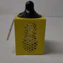 Everyday Living Metal Oil Torch Pineapple Yellow