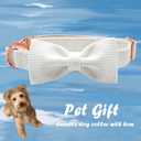 Elegant little tail Dog Collar with Bow - White Adjustable Dog Collar Bow Cotton Durable Bowtie Collar Gift Pet Dog Collar for Large Dogs (Large (Pack of 1))
