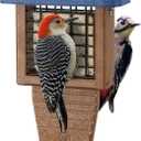 Kingsyard Recycled Plastic Suet Bird Feeder, Tail Prop Suet Feeder for Outside Hanging, Sturdy & Durable, Great for Woodpecker & Clinging Birds, Blue