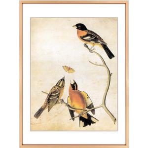 8x11 Picture Frame, Gold Aluminum Metal Photo Frames with HD Glass, Fits 7x9 with Mat or 8 x 11 without Mat, Display for Wall and Table