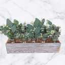 Winlyn 20 Pcs Mixed Artificial Oval Eucalyptus Leaves Bulk with White Seeds Stems and Spray for Vase Floral Wreath Bouquets Wedding Greenery Decoration