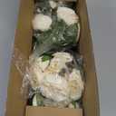 Artificial Peonies Silk Flowers, Beige Faux Peony Bouquet 4 Bundles Florals Arrangements Decor for Farmhouse Home Boho Wedding Table Centerpiece, Fake Plastic Flowers Bulk for Vase Decoration (Beige)