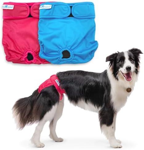 Paw Inspired Washable Dog Diapers (2 Pack) | Reusable Cloth Doggy Diapers for Female Small, Medium, Large Size Dogs (Pink and Blue Colors with Black Lining, Size Large)