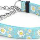 Martingale Dog Collar with Stainless Steel Chain - Cute Daisy Design Patterns Pet Collar for Large, Medium Dogs (Light Blue, Medium)