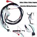 Complete Electrics Wiring Harness CDI Ignition Coil Solenoid Relay Spark Plug Kits for Chinese 4-Stroke ATV Quad Dirt Bike 150cc 200cc 250cc Go Kart by OTOHANS AUTOMOTIVE