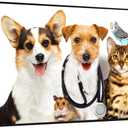 Modern Animal Wall Art Framed Canvas Dog Cat Rabbit Mouse Giclee Print, 36"L x 20"W