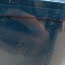 Brita Large Water Filter Pitcher for Tap and Drinking Water with SmartLight Change Indicator, Includes 1 Standard Filter, BPA-Free, Lasts 2 Months, 10-Cup Capacity, Teal