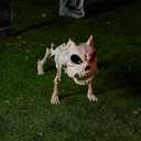 JOYIN 16 Posable Puppy Skeleton Halloween Decorations Realistic Plastic Dog Animal Bones with Movable Joints for Halloween Indoor Outdoor Decor Spooky Scene Party Favors Graveyard Decor