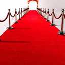 Extra Thick 3x10Ft Red Carpet Runner for Party, Non-Slip TPR Backing Aisle Runway Rug Felt for Indoor & Outdoor, Occasions, Graduation, Birthdays & Special Events Decorations, Long Term use