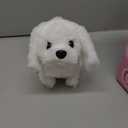 Golray Dog Toys for Kids Girls, Stroller & Electronic Interactive Stuffed Dog Plush Can Walk Bark, 10 Pcs Toddler Girl Toy Dog Puppy Pet Care Pretend Play Set, Birthday Gifts for Little Girl 3 4 5 6 7