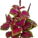 Nearly Natural 23 Coleus Bush Artificial (Set of 6) Silk Plants, Pink