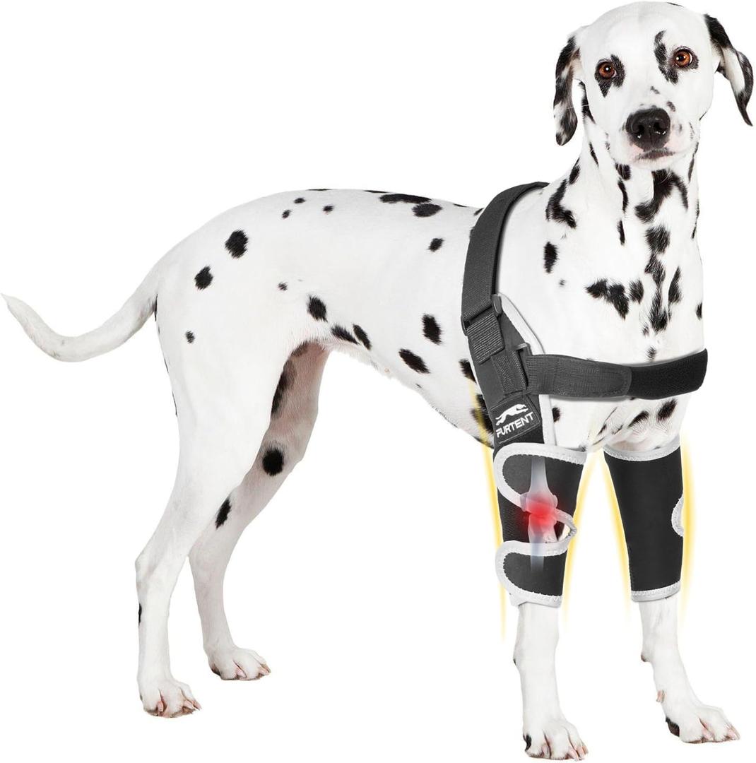 Dog Elbow Protector for Pets Elbow Dysplasia - Offers Elbow Support, Reflective Pet Recovery Suit Taper Collar Alternative, Helps Wound Healing, Prevents Licking, XXL