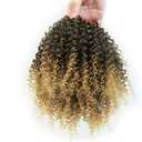 Curly Drawstring Ponytail for Black Women 10 Inch Blonde Afro Kinky Curly Ponytail Extension with Two Clips for Daily Use (T27)