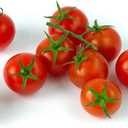 8 x Seeds Red Cherry Tomato Tall Bush Heirloom Vegetable Non-GMO