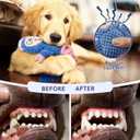 Dog Squeak Toys Interactive Pet Toy with Crinkle Paper Pull Chew Toys for Small Medium Large DogsBlue